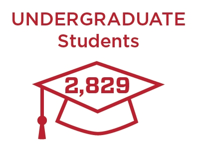 Undergraduate students: 2829