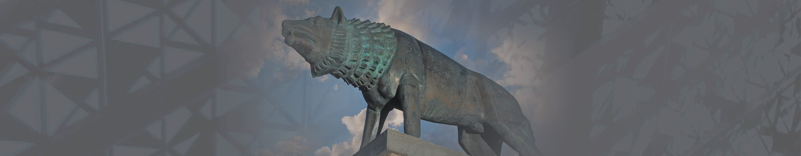 UNM Anderson students are proud Lobos!