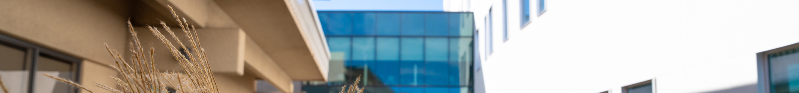 UNM Anderson, part of a large, vibrant campus