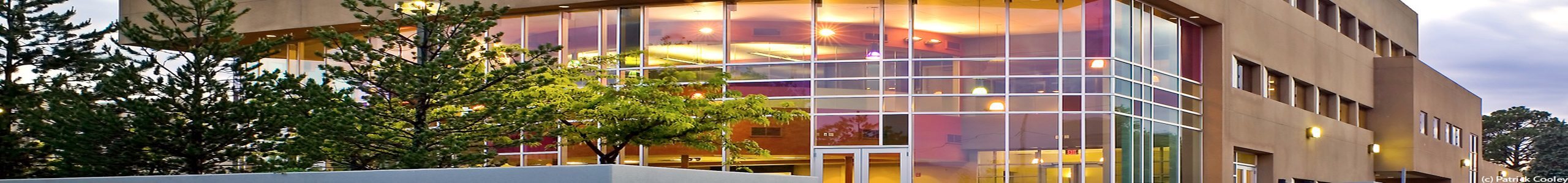 UNM Anderson School of Management