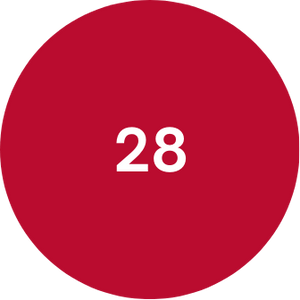 Average age 28