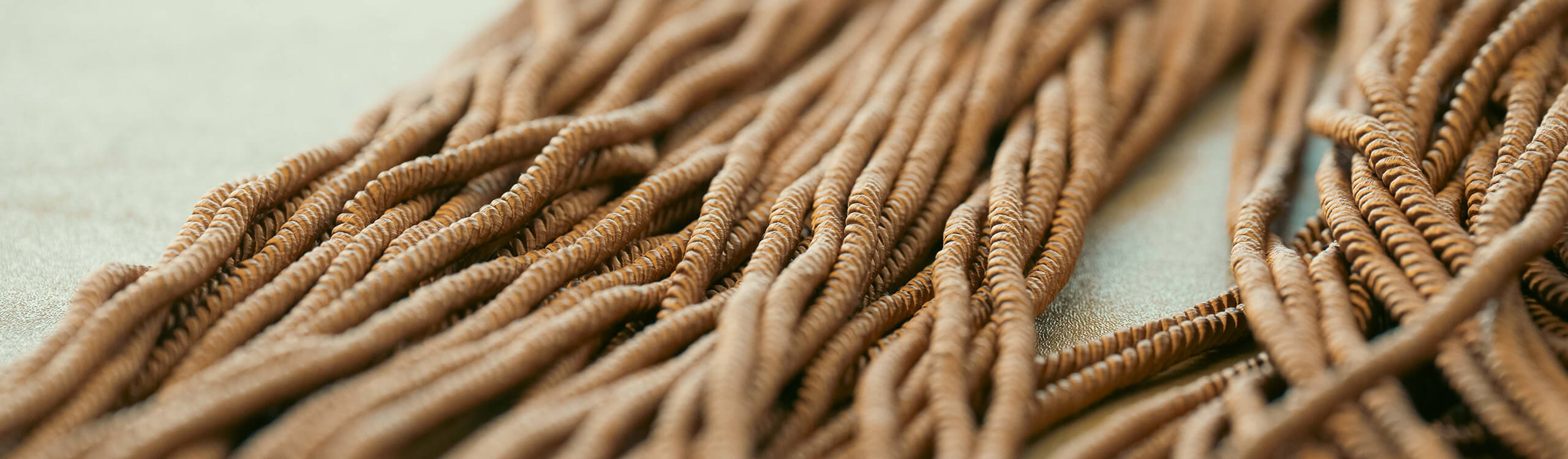 Fall 2025 Convocation